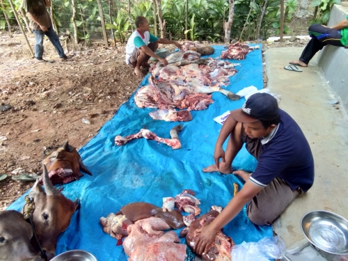 recent-project-img-1