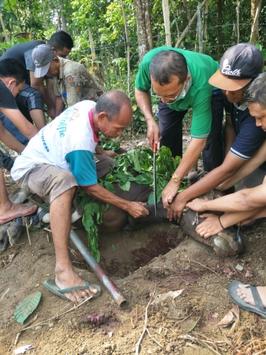 recent-project-img-1